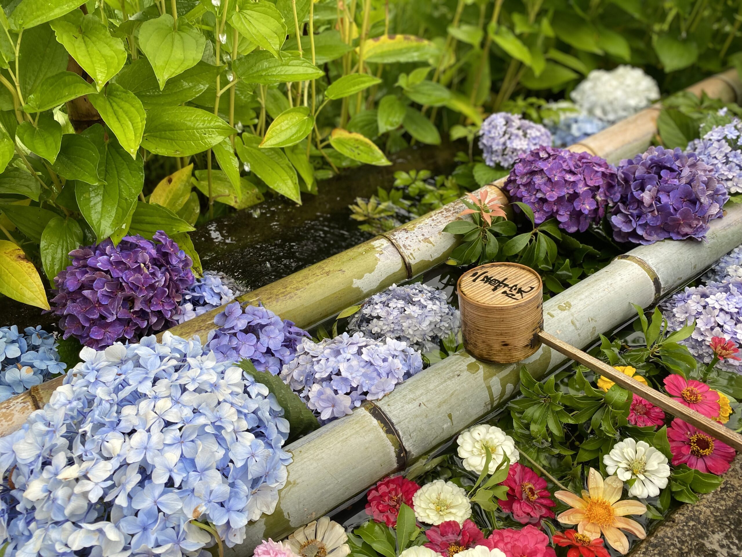 場の質感を感じる